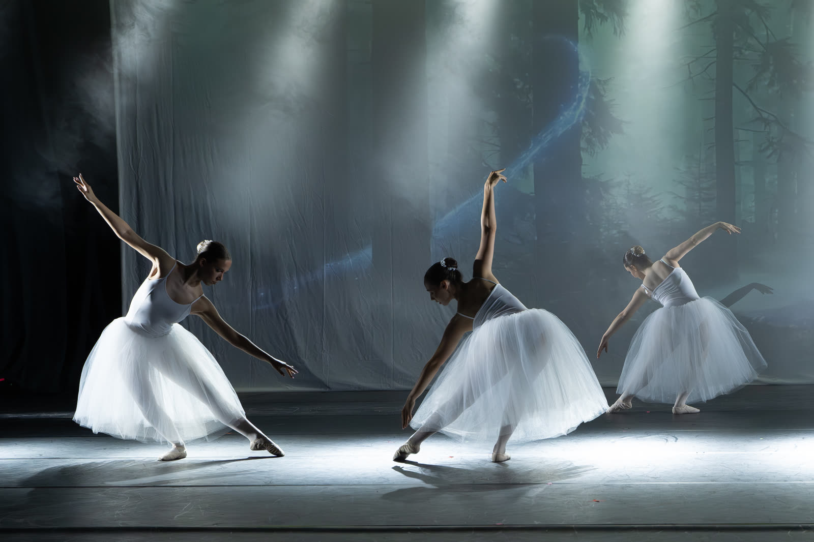 Danza Classica ad Atelier Danza — foto 4